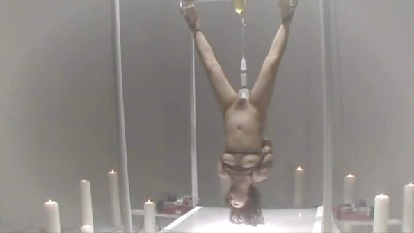 Clientes de lavanderia assistem porno com mulher gordinha morena sem vergonha se divertindo